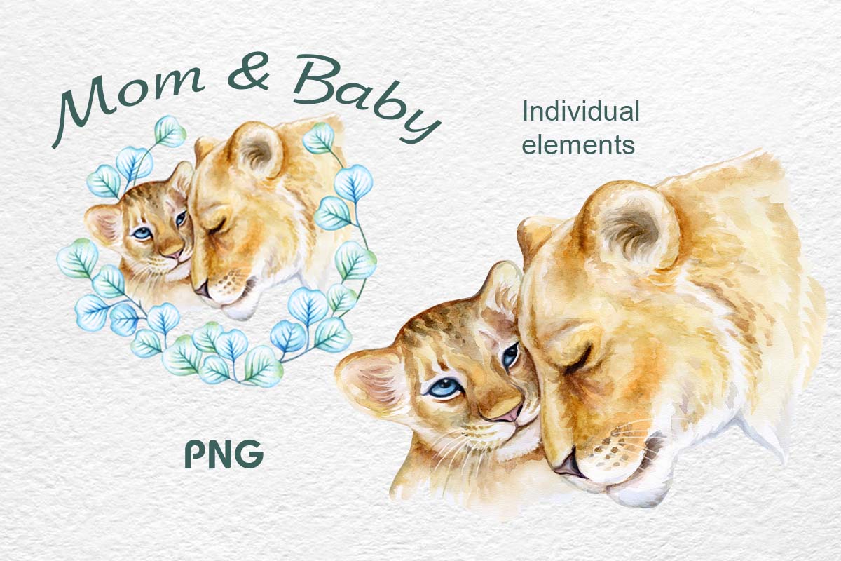 Lion Mum and Baby, Little Lion Watercolor, Safari Animal PNG facebook.