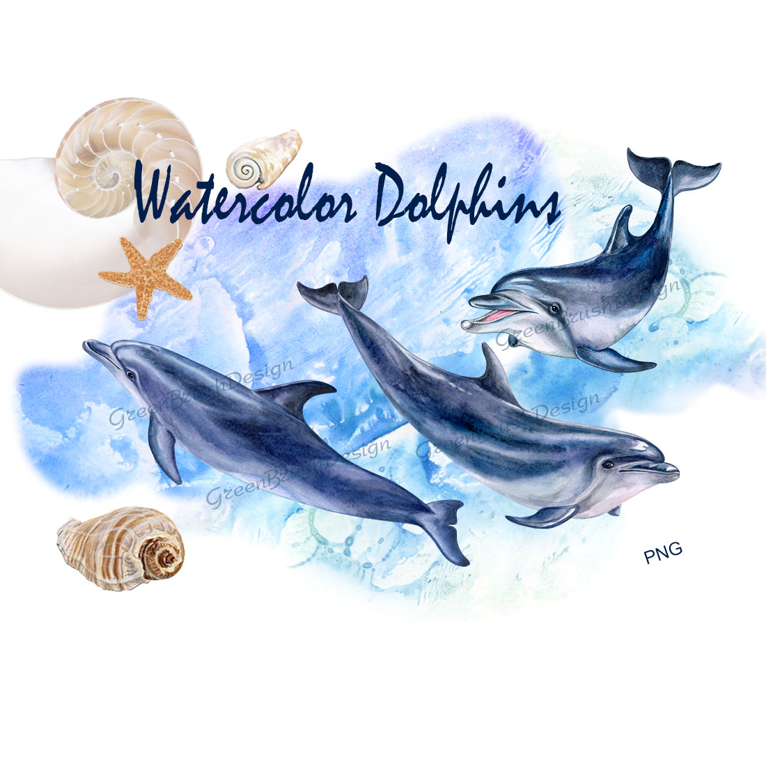 Watercolor Dolphin Digital Clipart cover image.