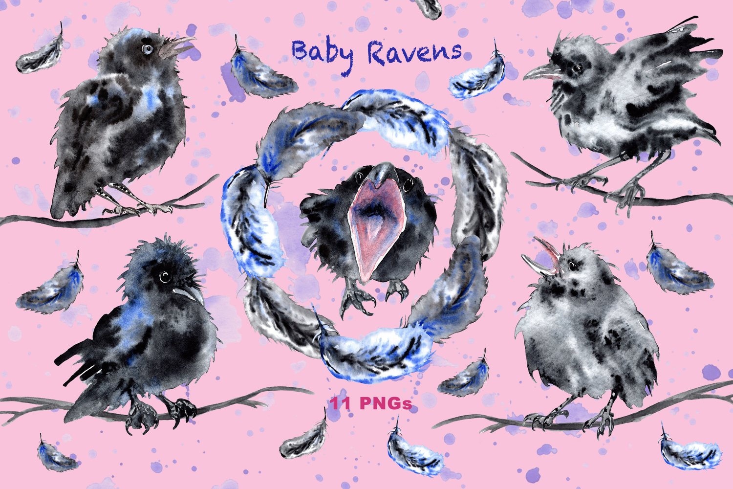 Watercolor Cute Raven Crow Chicks with pink background.