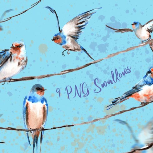 Swallow birds on blue background.