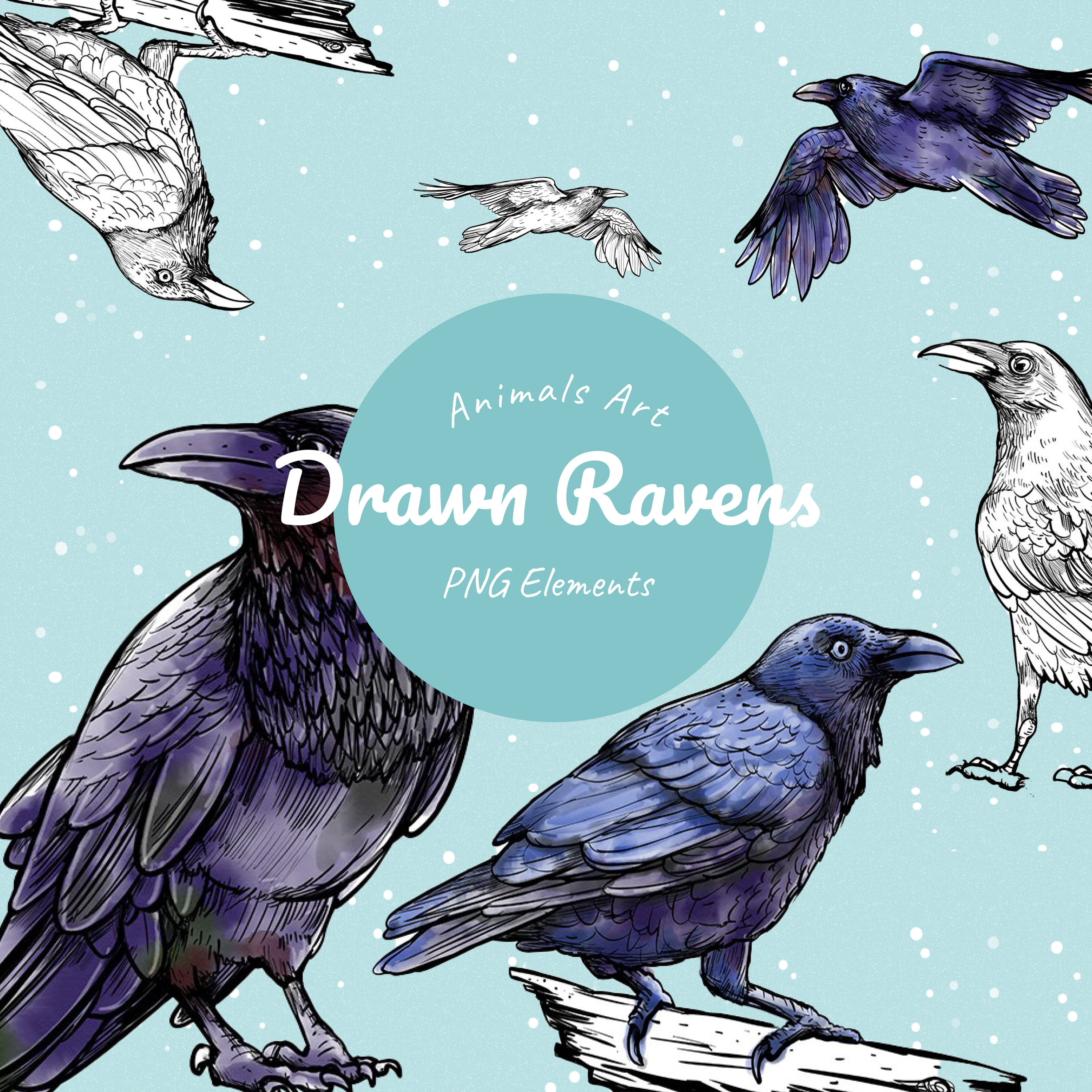 Drawn ravens - main image preview.