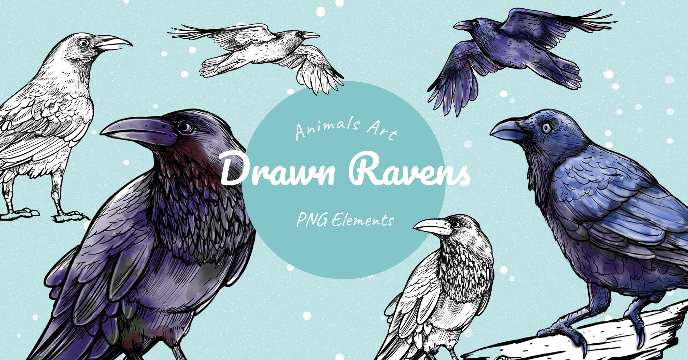 Drawn ravens - Facebook image preview.