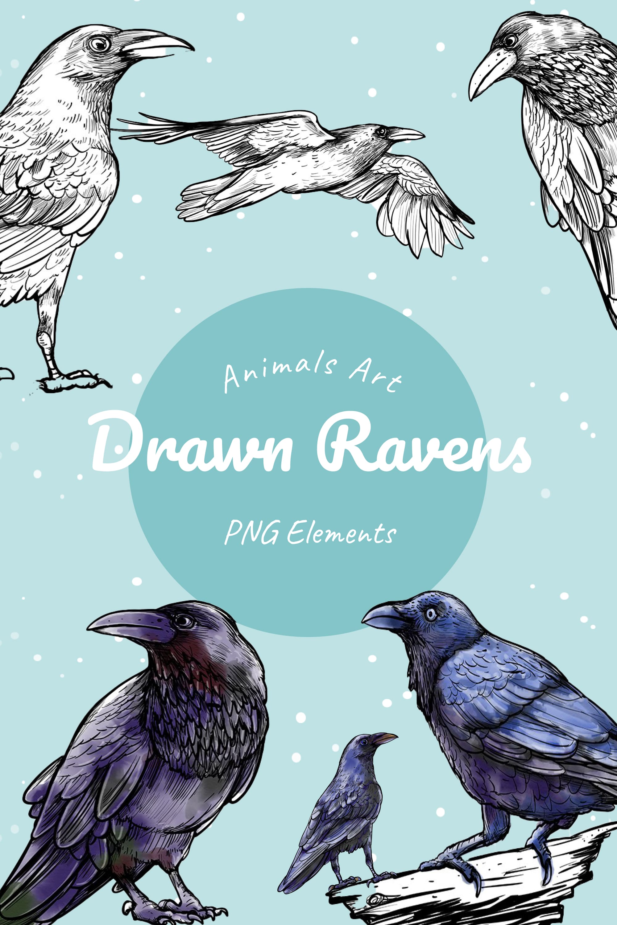Drawn ravens - pinterest image preview.