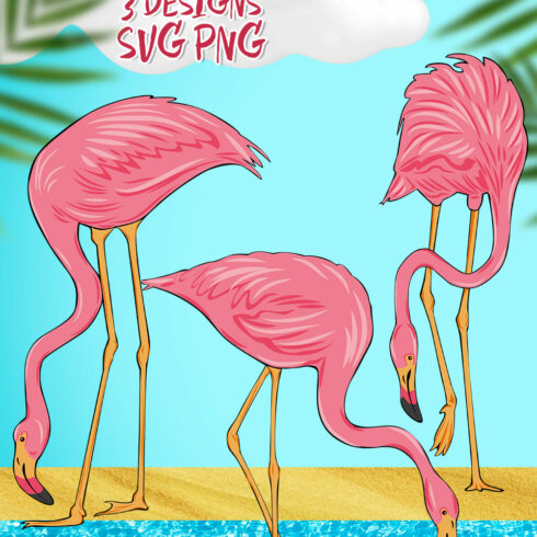 Drinking Flamingo SVG Pack | Master Bundles