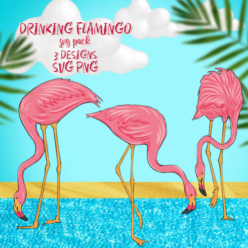 drinking flamingo svg pack.