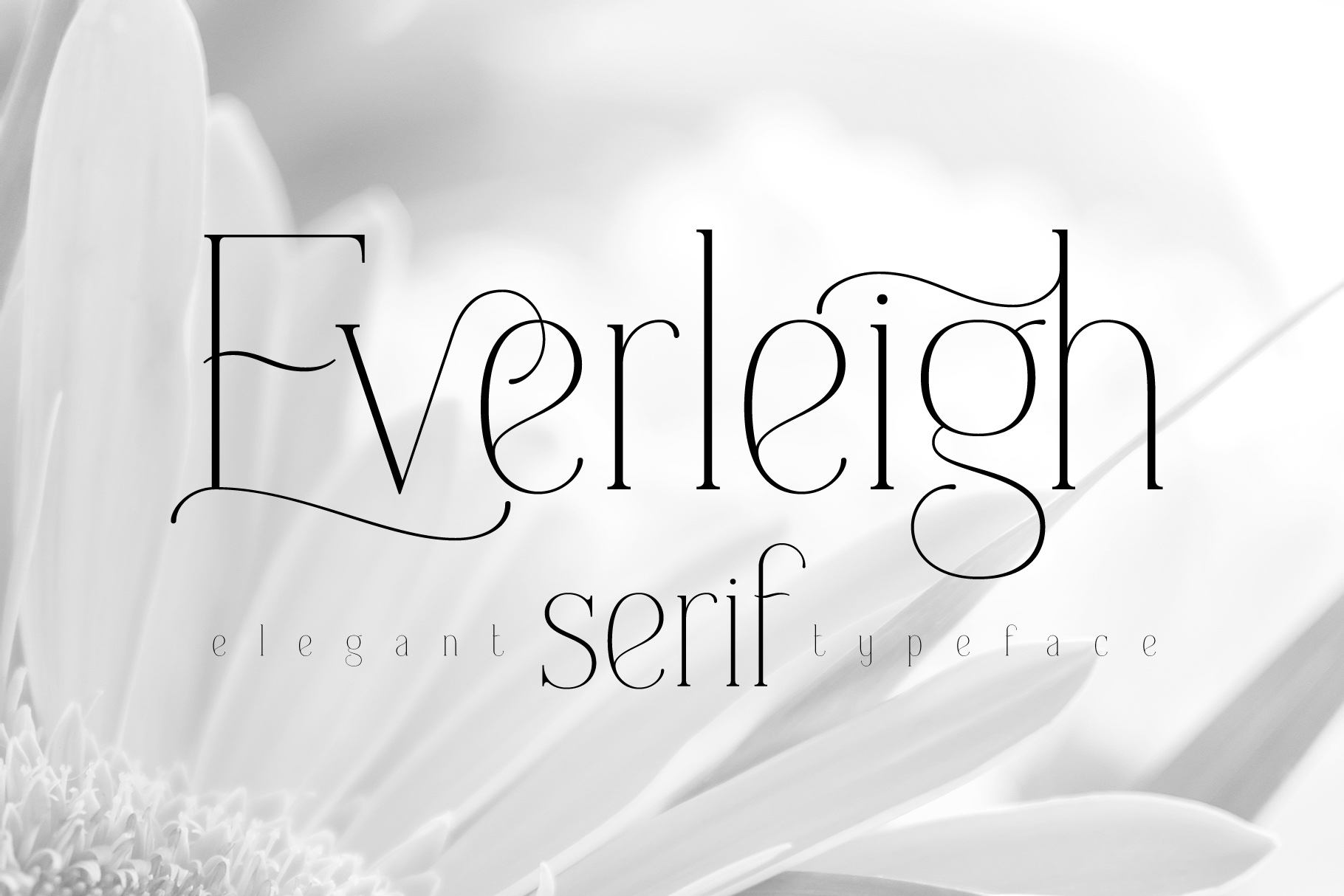 Everleigh Serif Font facebook.