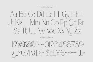 Everleigh Serif font - MasterBundles