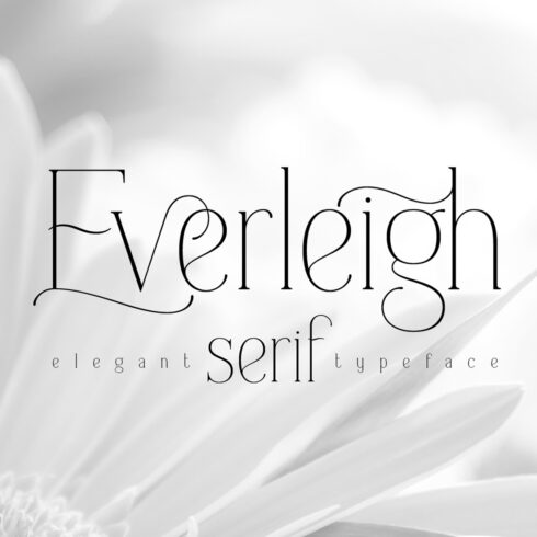 Everleigh Serif Font cover image.