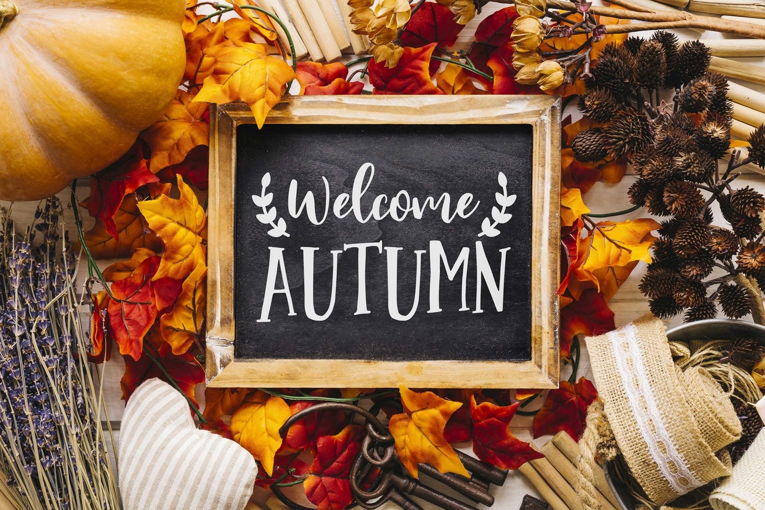 Welcome autumn frame.