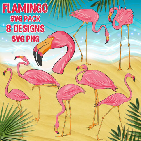 flamingo svg pack.