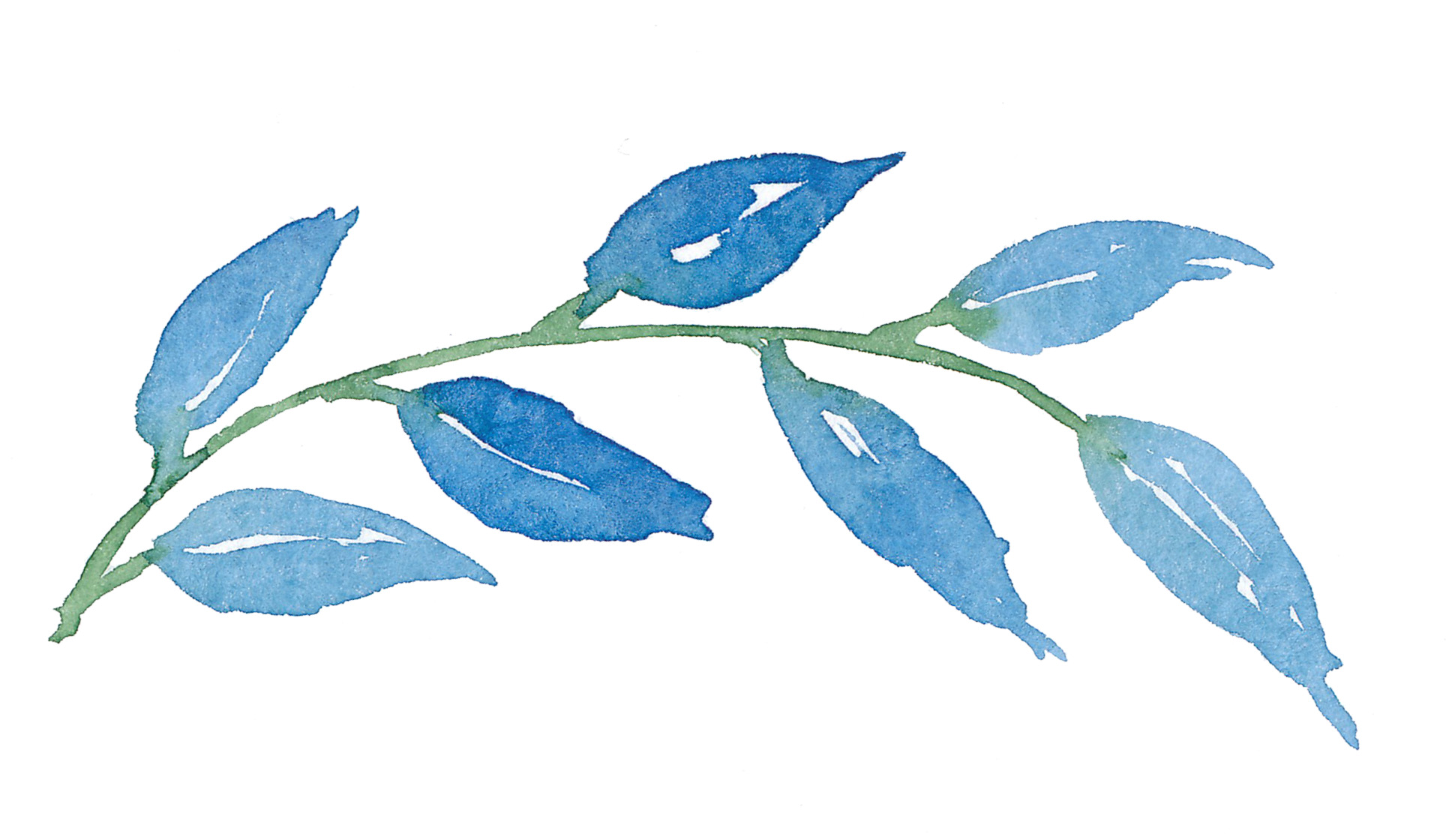 Watercolor Leaves Collection