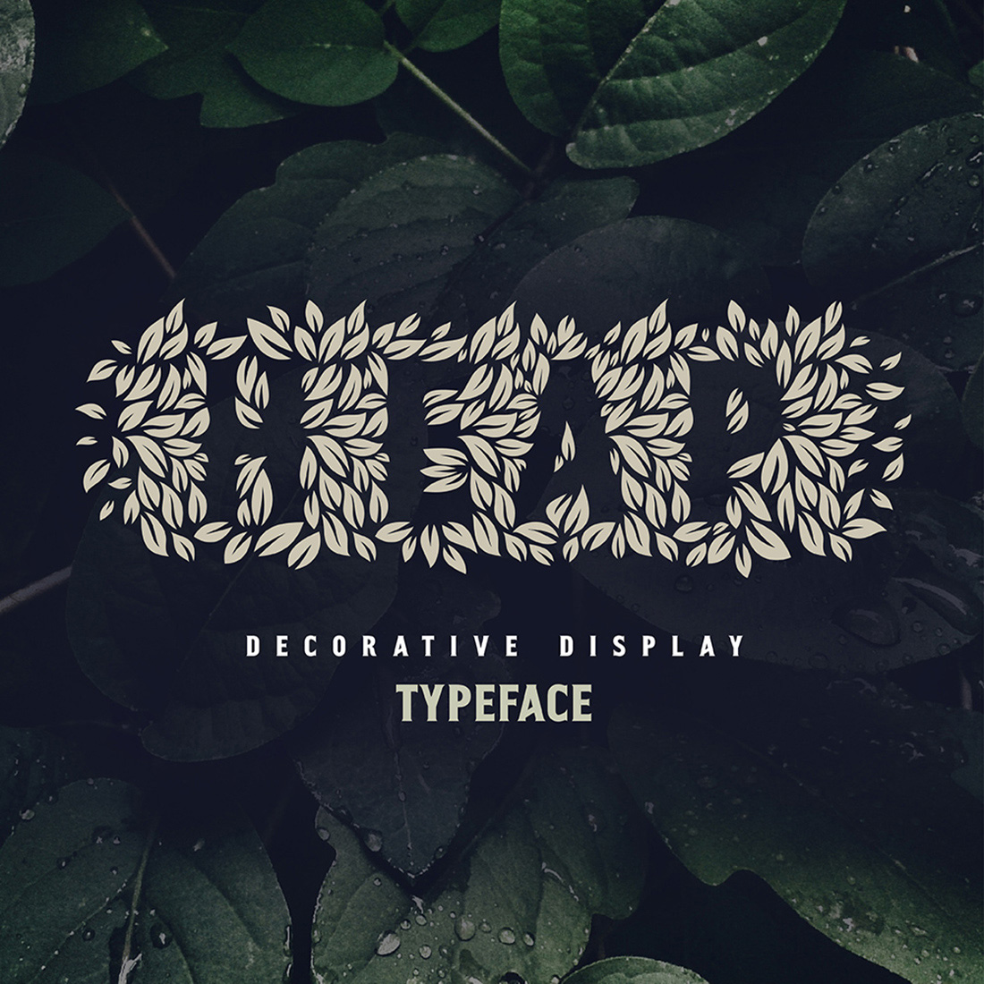 Heap Decorative Font cover image.