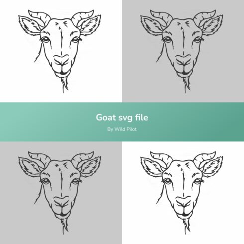 Goat's head is shown in four different colors.