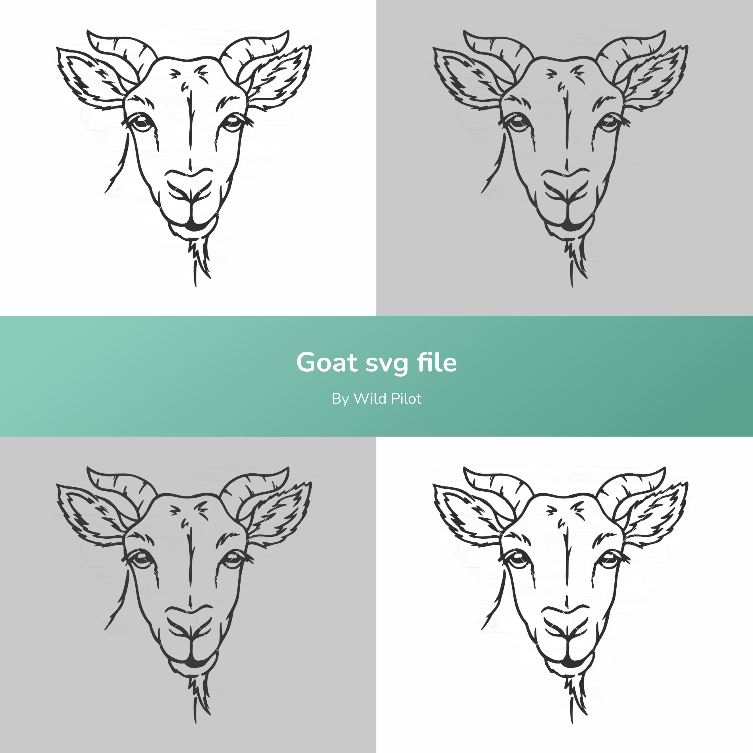 Goat's head is shown in four different colors.