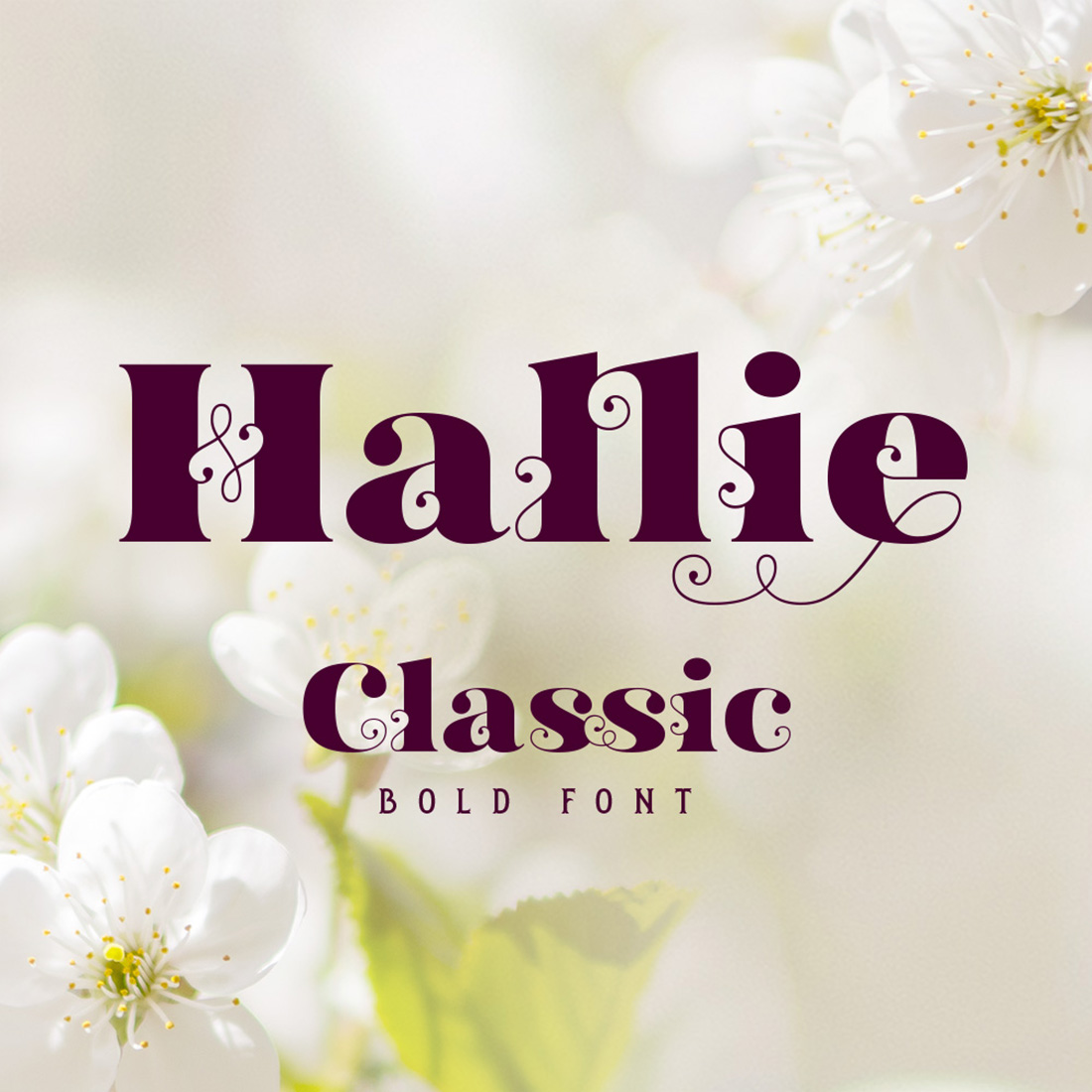 Hallie - Bold Classic Font cover image.