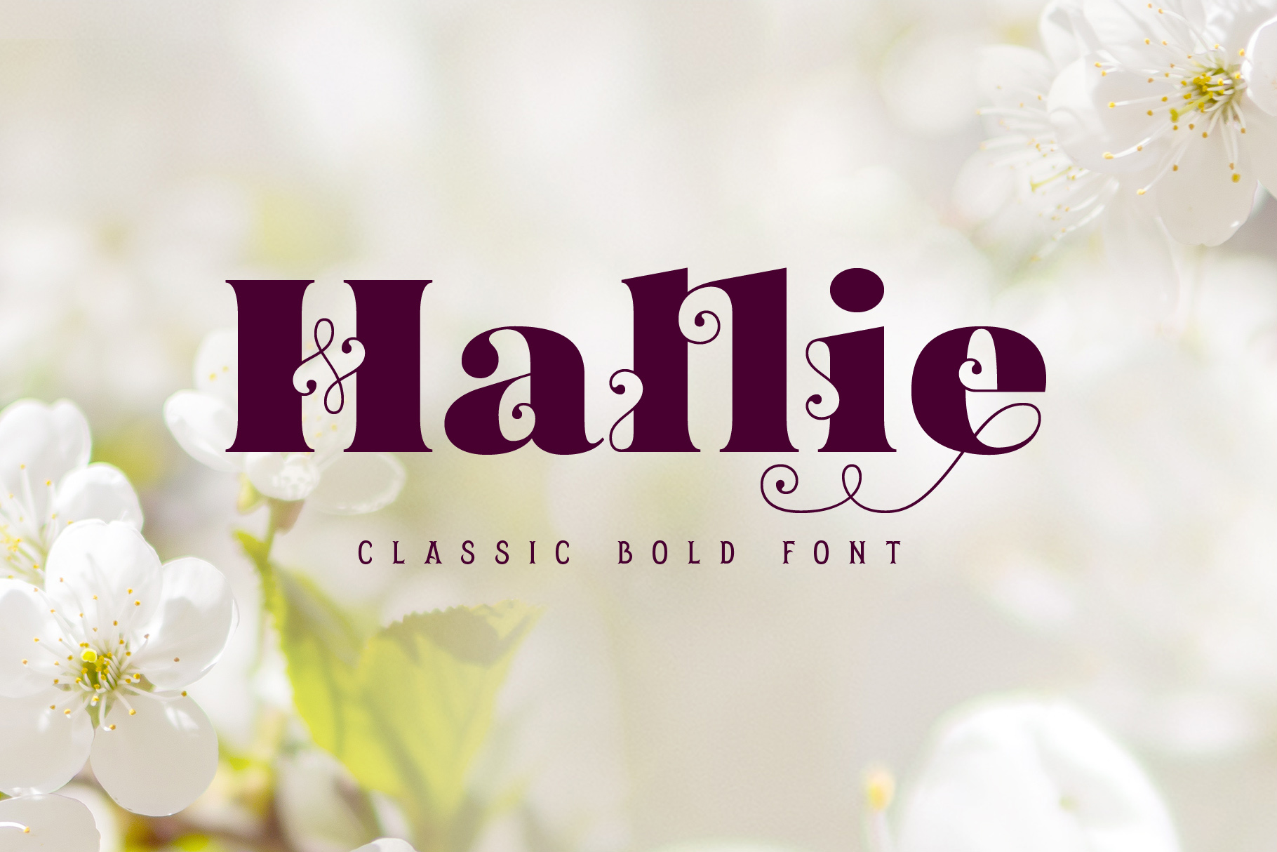 Hallie - Bold Classic Font facebook image.