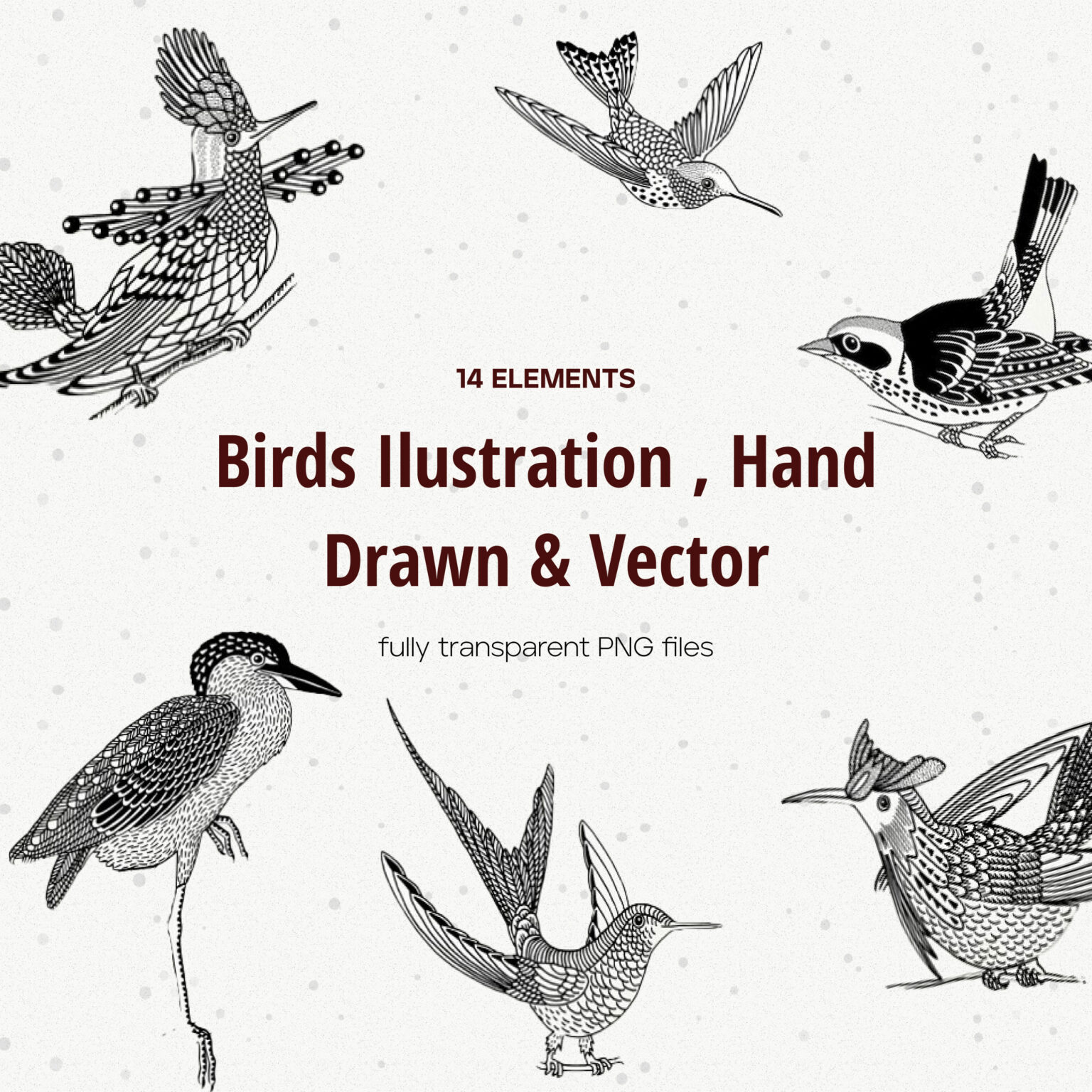 Hand Drawn Illustrations of Birds – MasterBundles