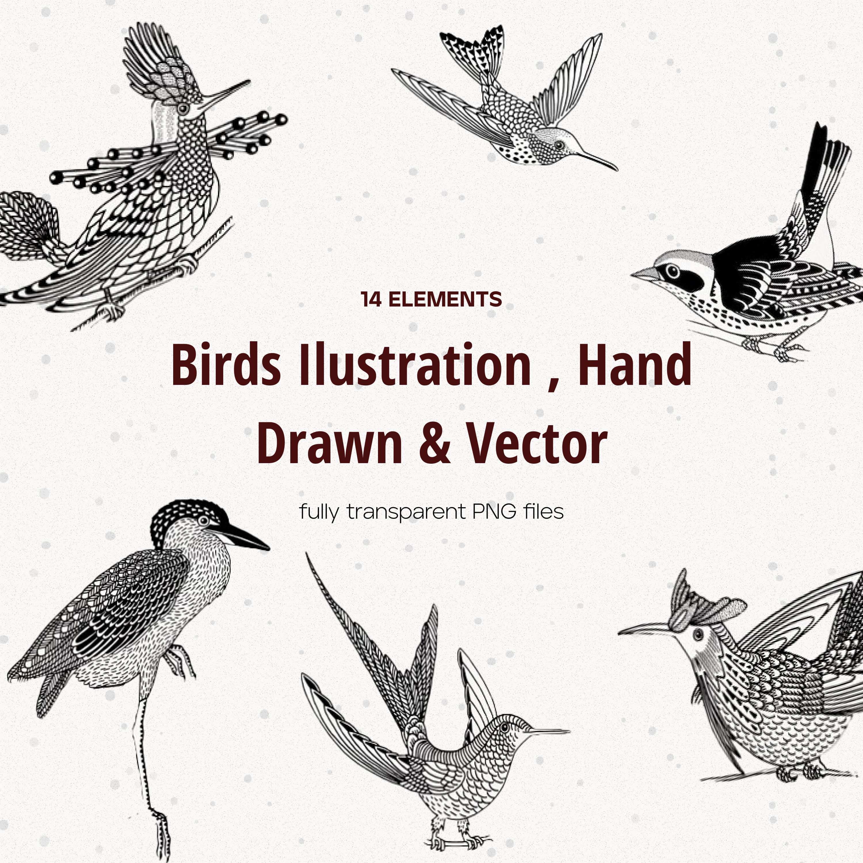 Hand drawn illustrations of birds - main image preview.