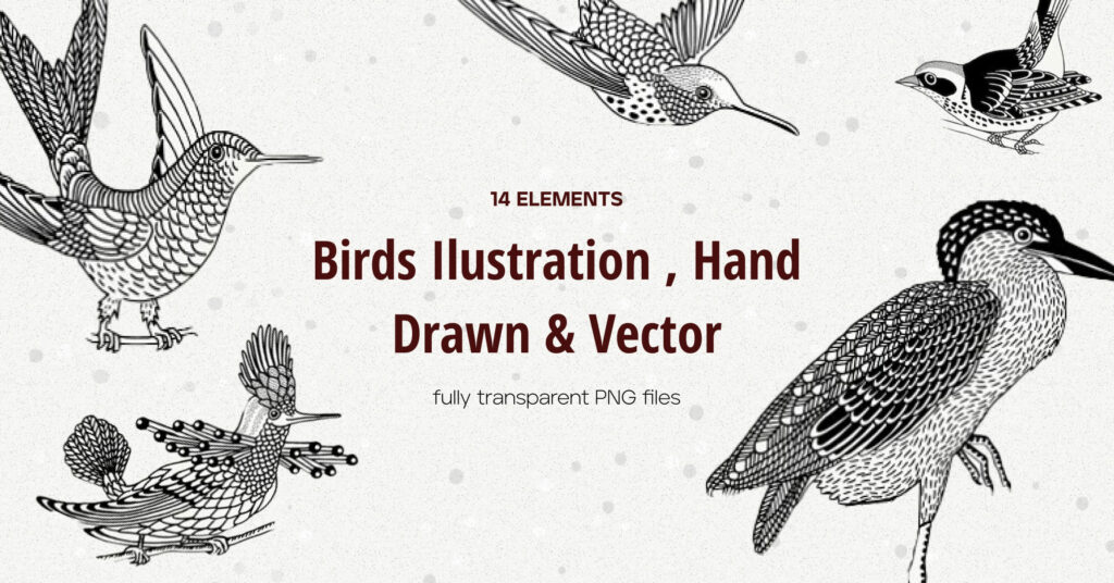 Hand Drawn Illustrations of Birds – MasterBundles