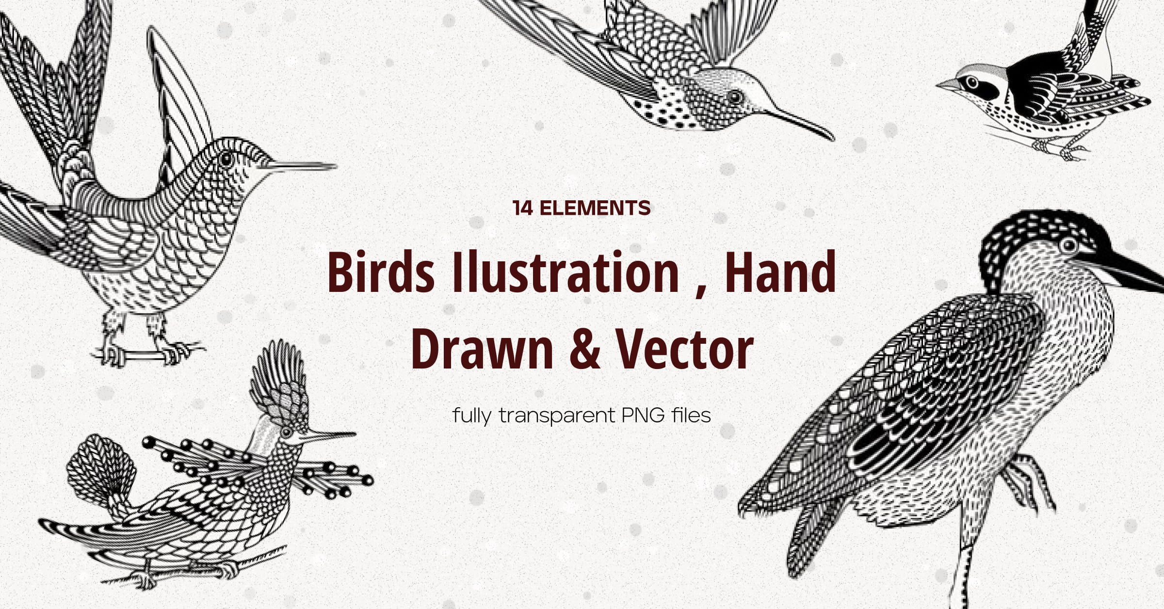Hand drawn illustrations of birds - Facebook page preview.