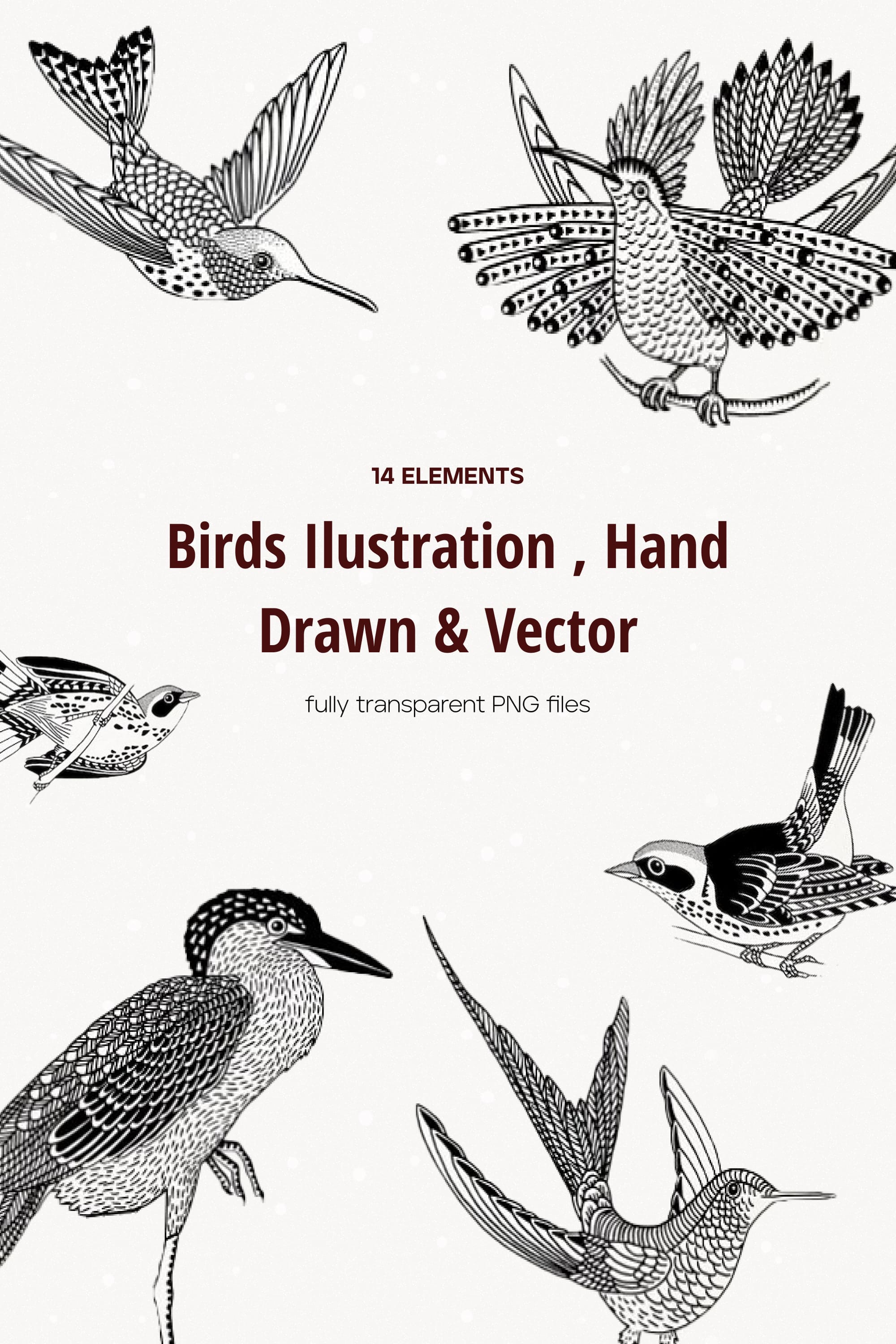 Hand drawn illustrations of birds - pinterest image preview.