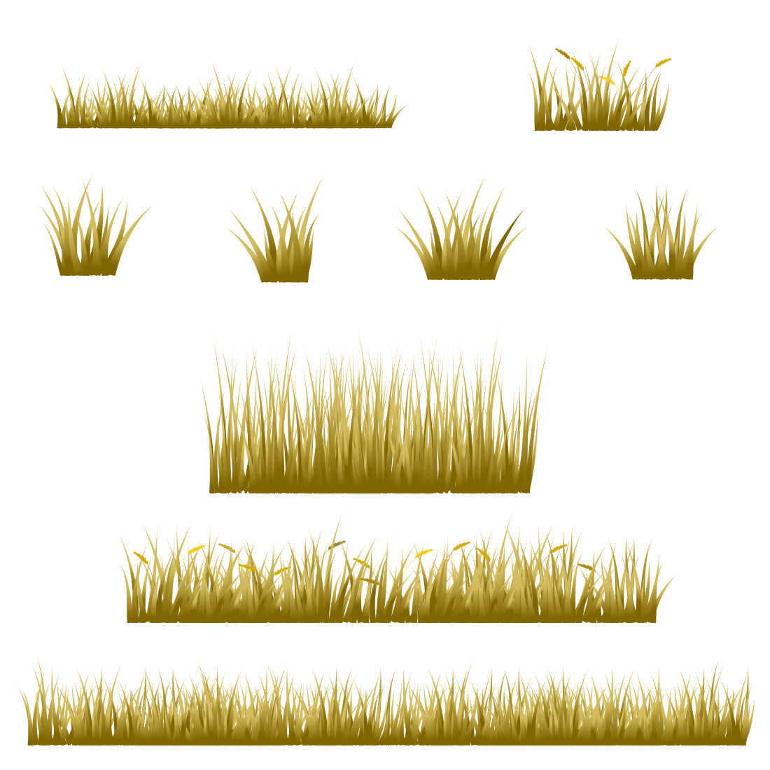 Brown Grass, Reeds Grass set for Illustration.