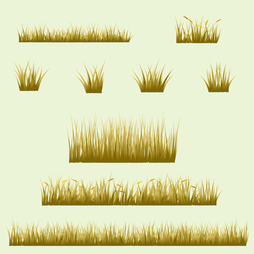 brown grass, reeds grass set for illustration - MasterBundles