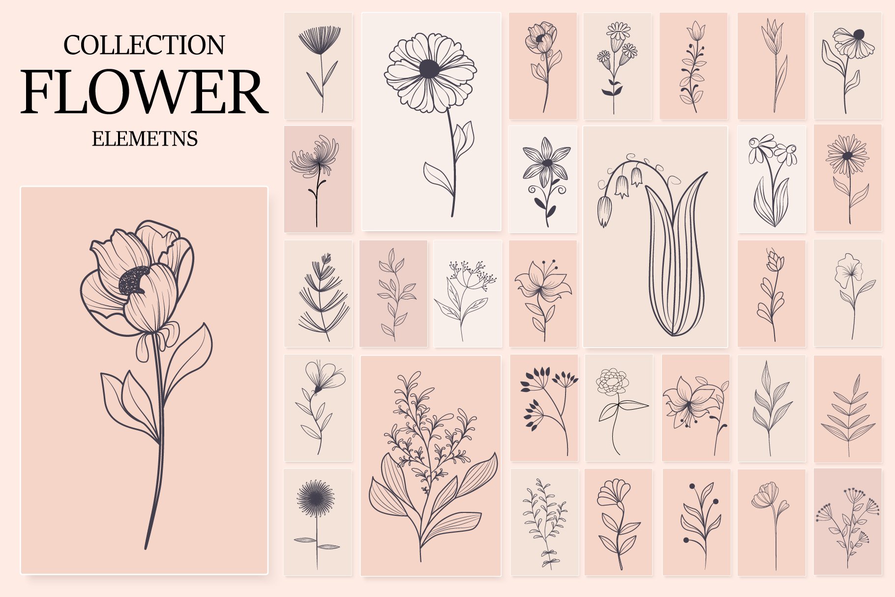 Nice elegant flowers collection.