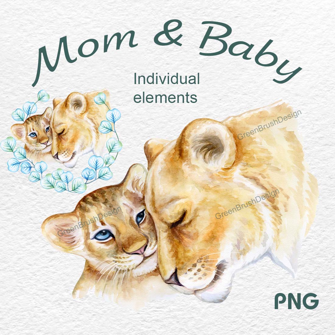 Lion Mum and Baby, Little Lion Watercolor, Safari Animal PNG cover image.