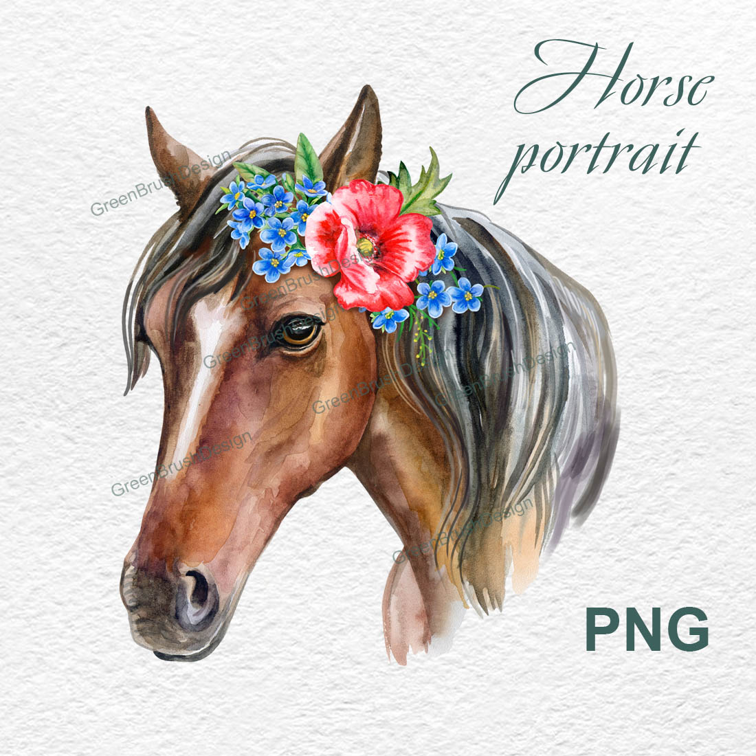 Watercolor Horse Clipart cover image.