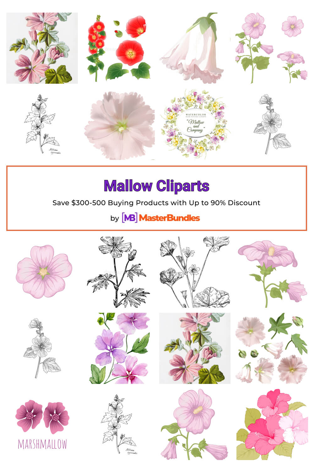 mallow cliparts pinterest image.