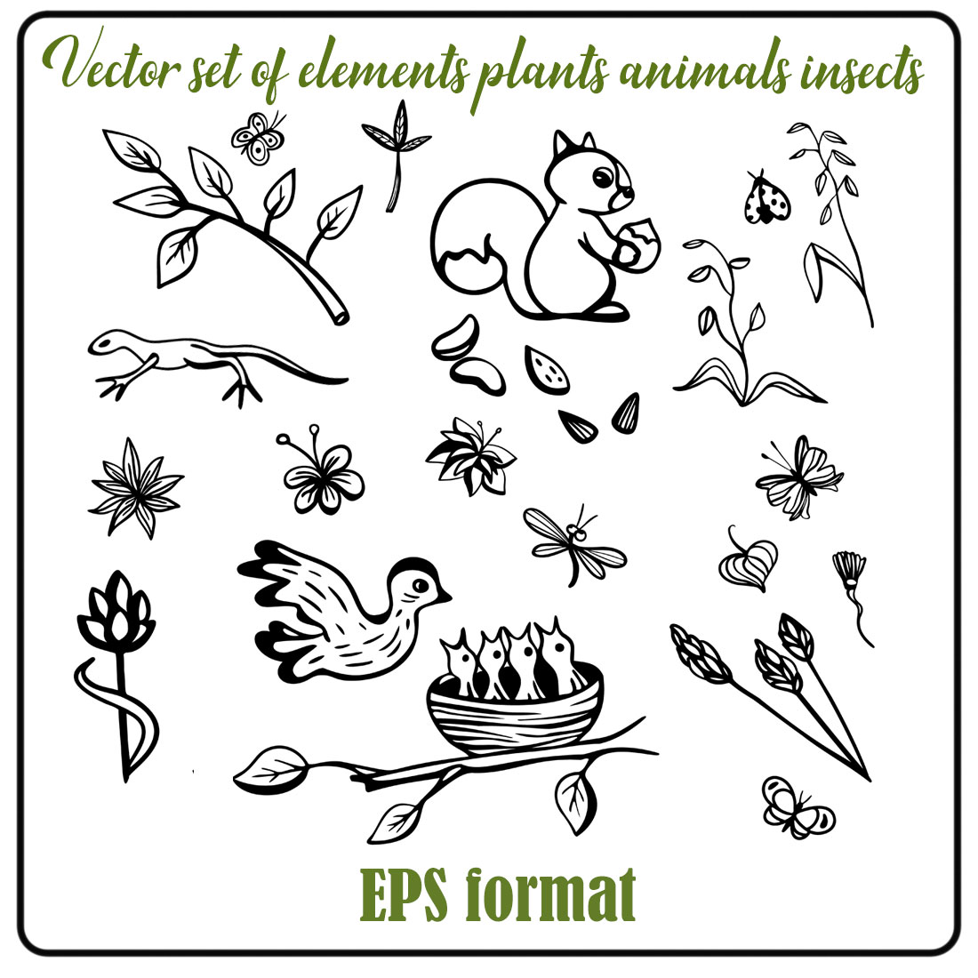 Set of Elements Plants Animals Insects cover image.