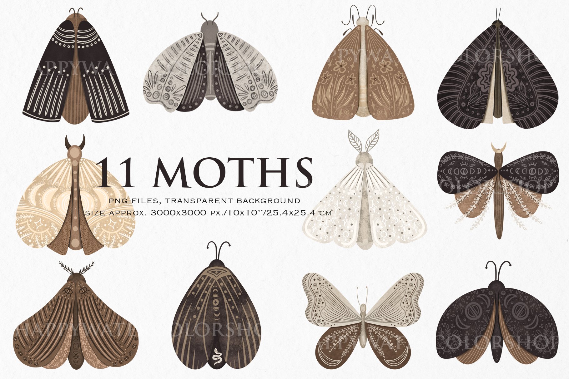 Diverse of the moths.