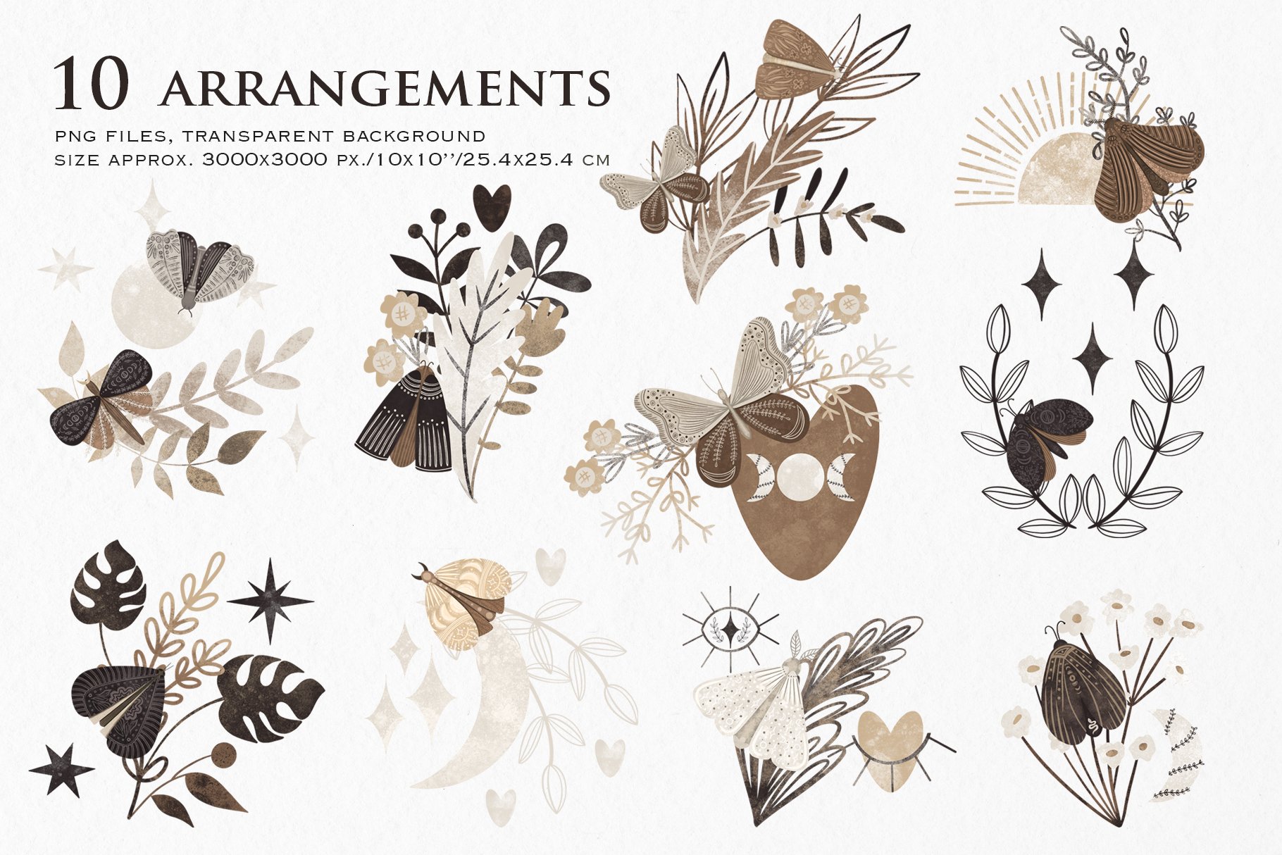 Some floral elements for illustration with moths.