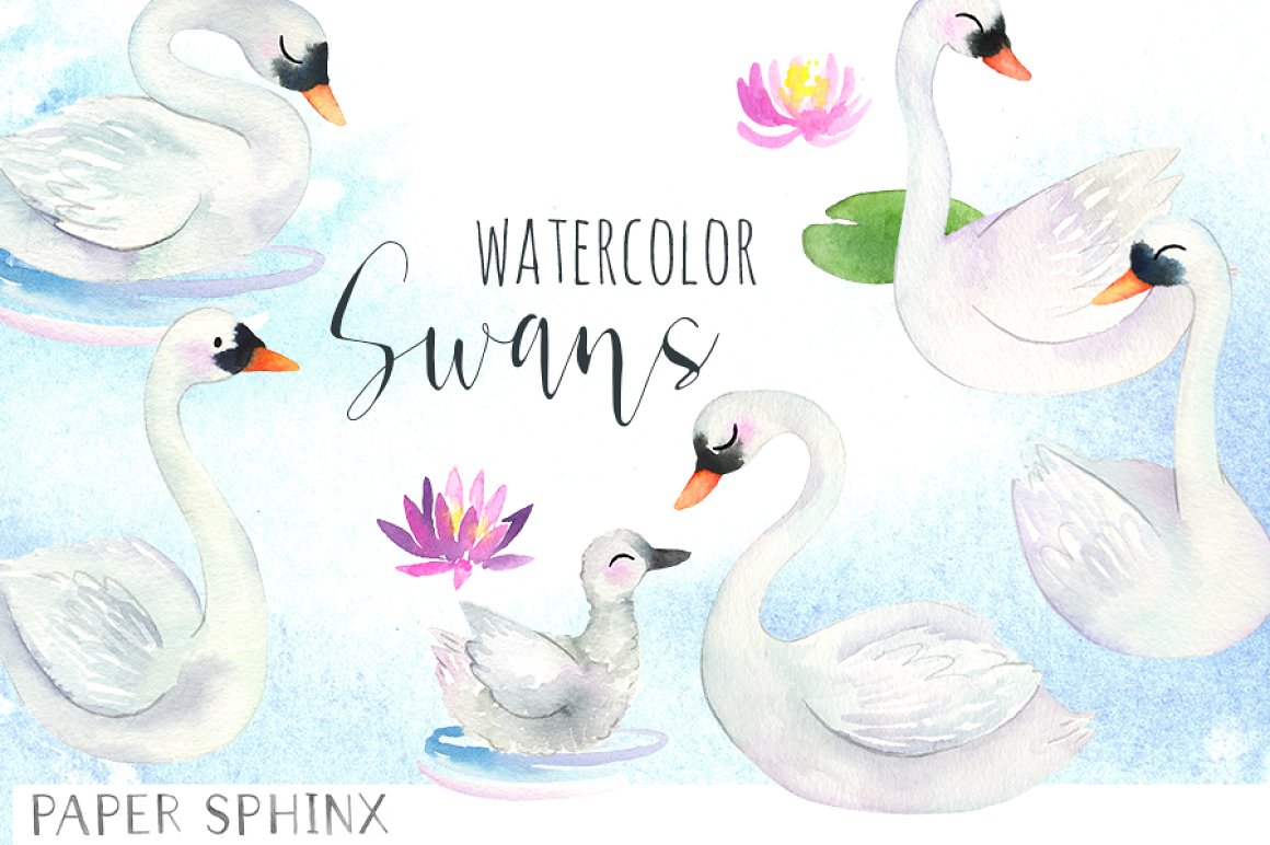 Light illustration with the white swans.
