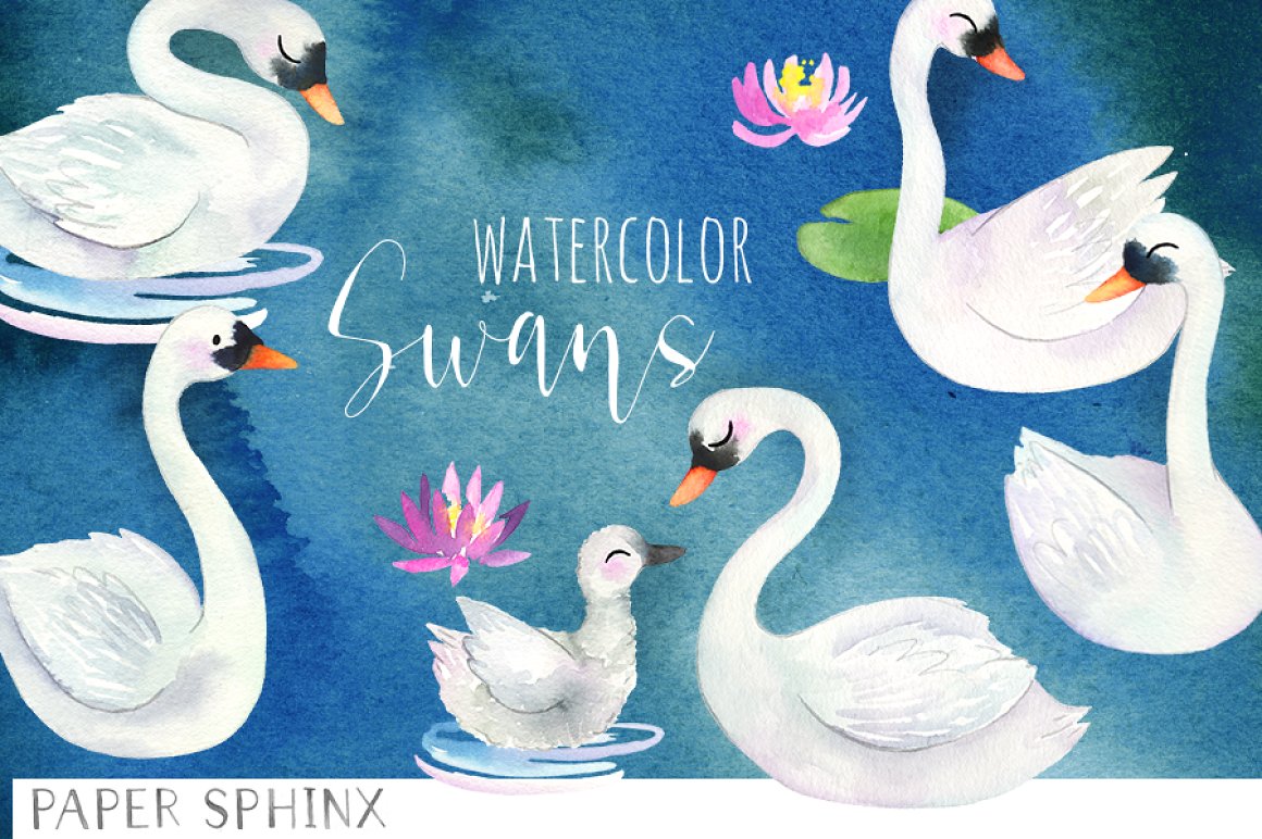 Watercolor blue background with a white swans.
