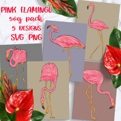 pink flamingo svg pack.