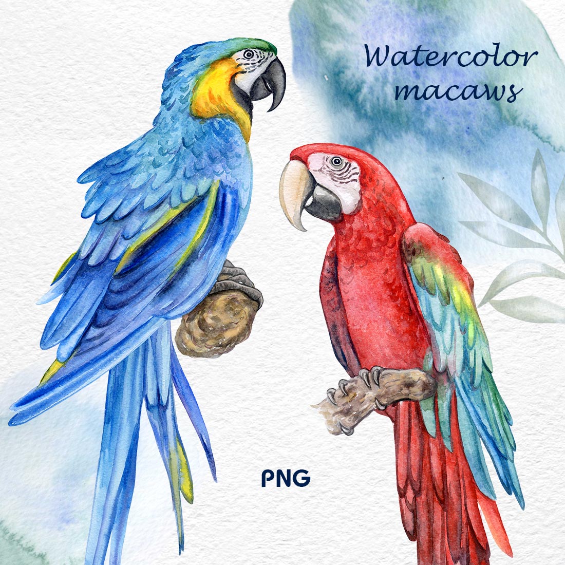 Watercolor Parrot Clipart cover image.