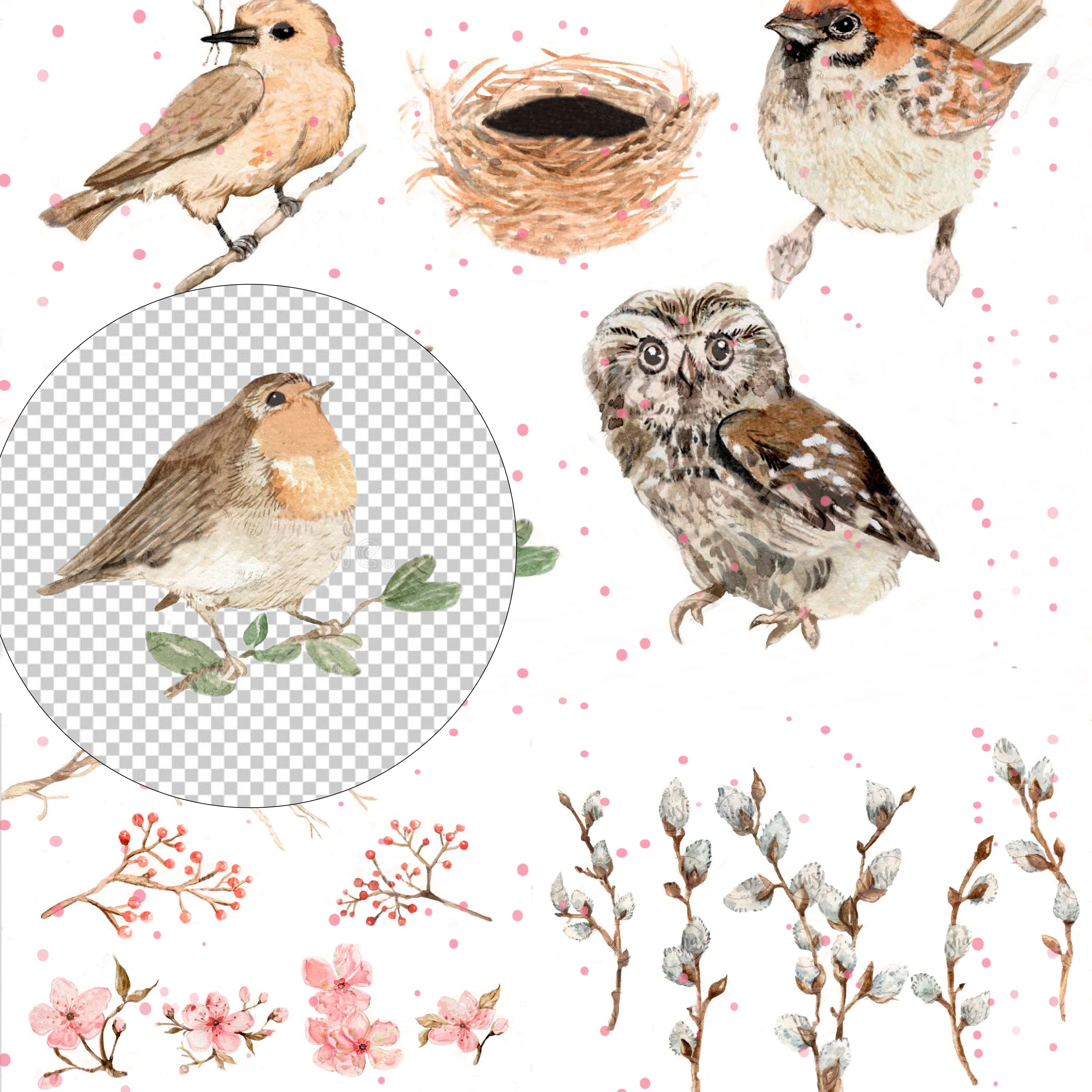 Pretty birds and spring flowers.