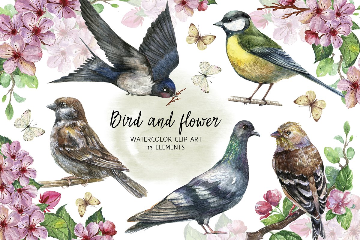 Cover image of Watercolor botanical bird clipart.
