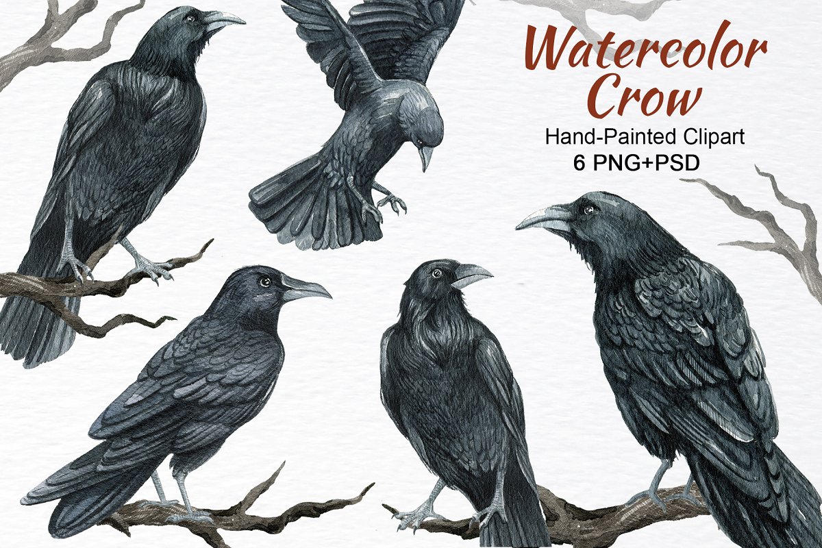 Cover image of Watercolor raven, crow bird clipart.