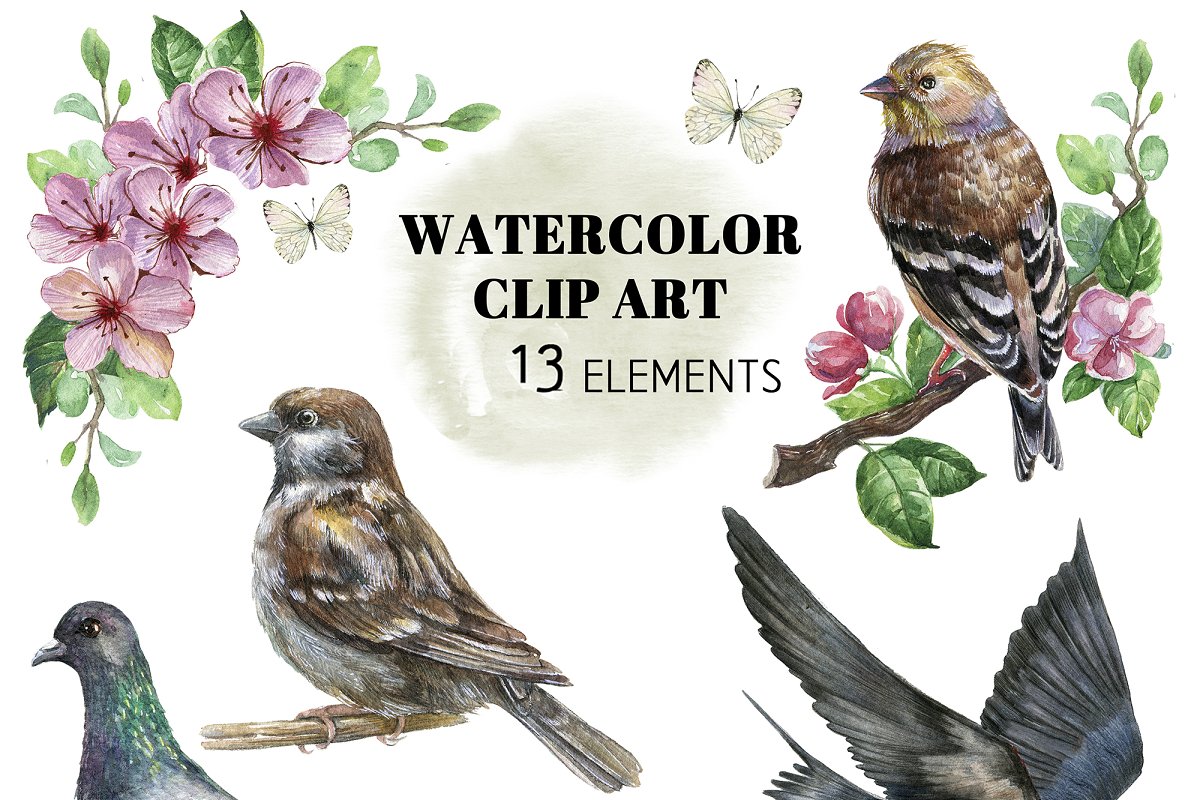 This set includes 13 watercolor elements.