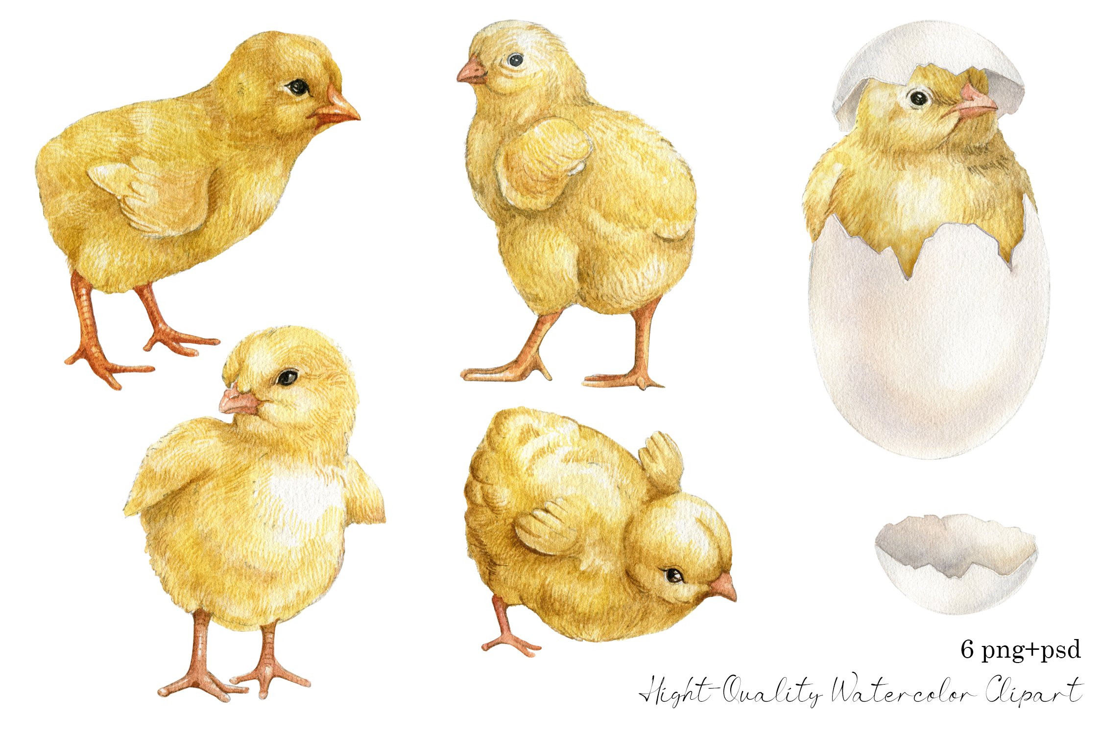 Little yellow chickens.
