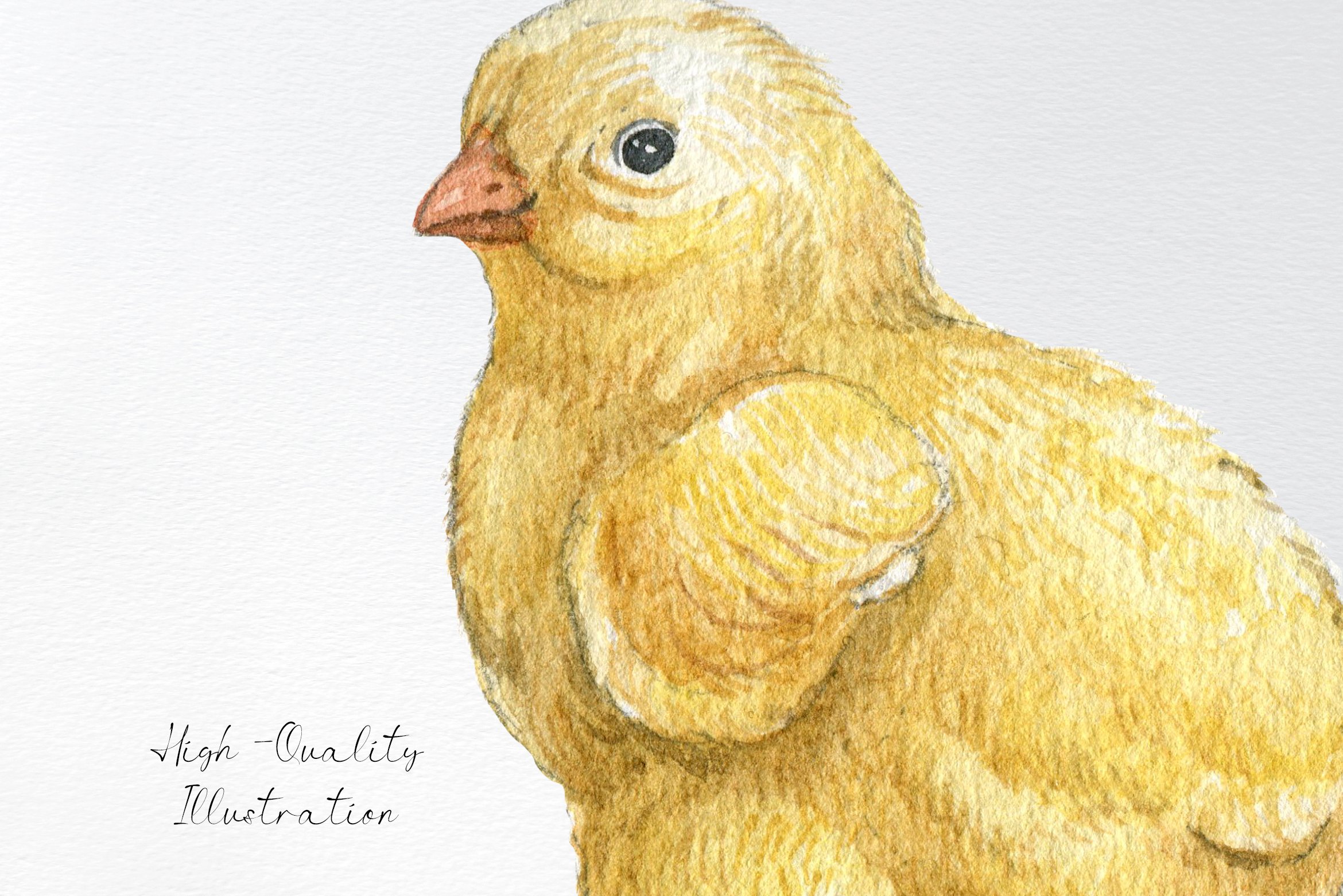 Watercolor easter chicken in zoom.