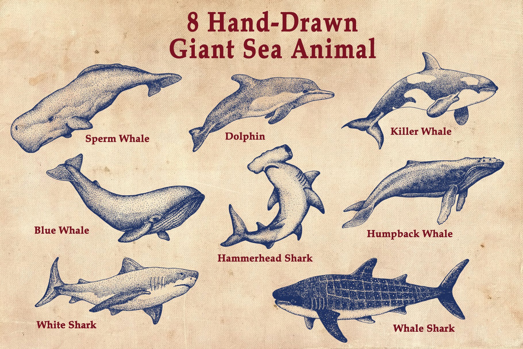 Giant sea animals in a vintage style.