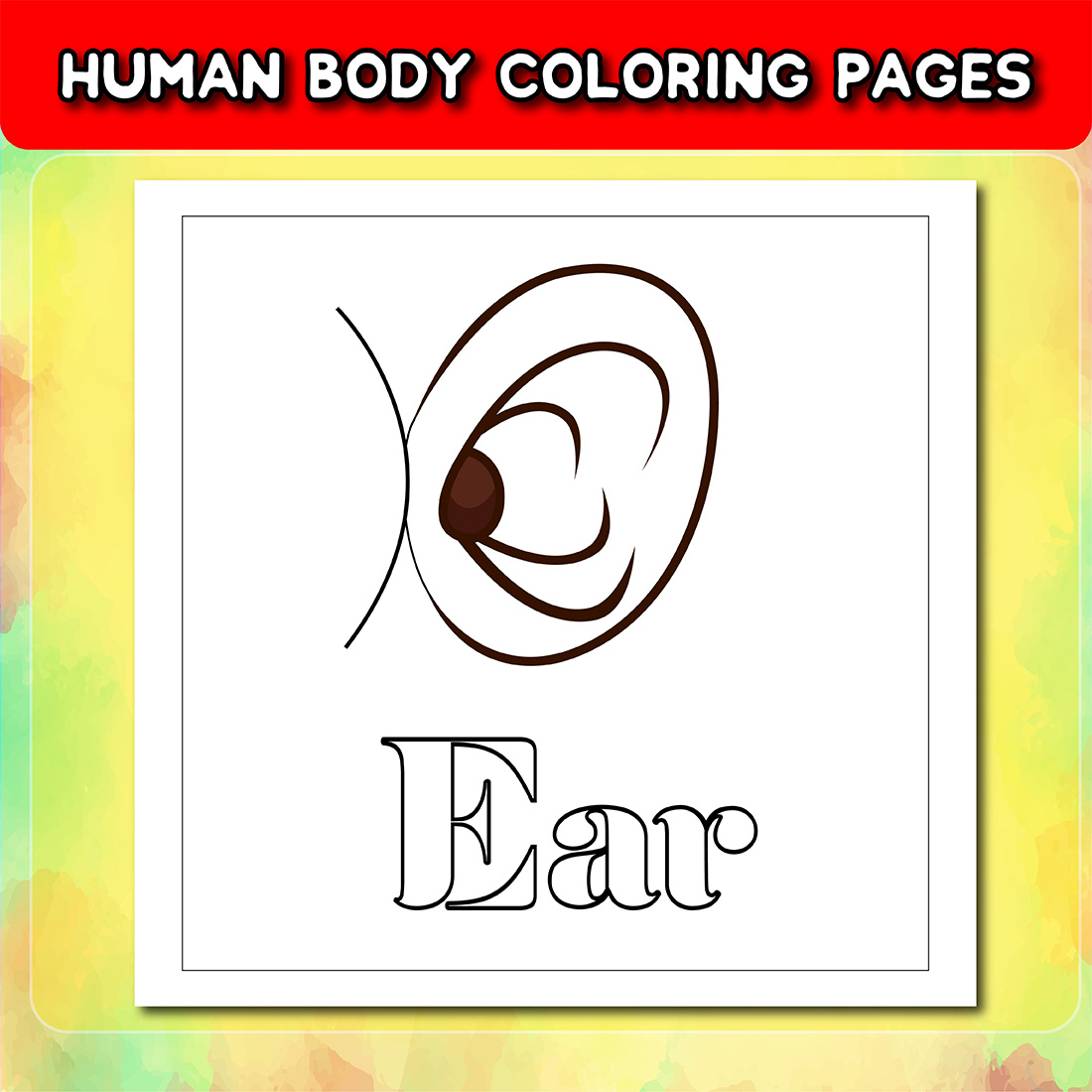 Human Body Coloring Pages for Kids cover image.