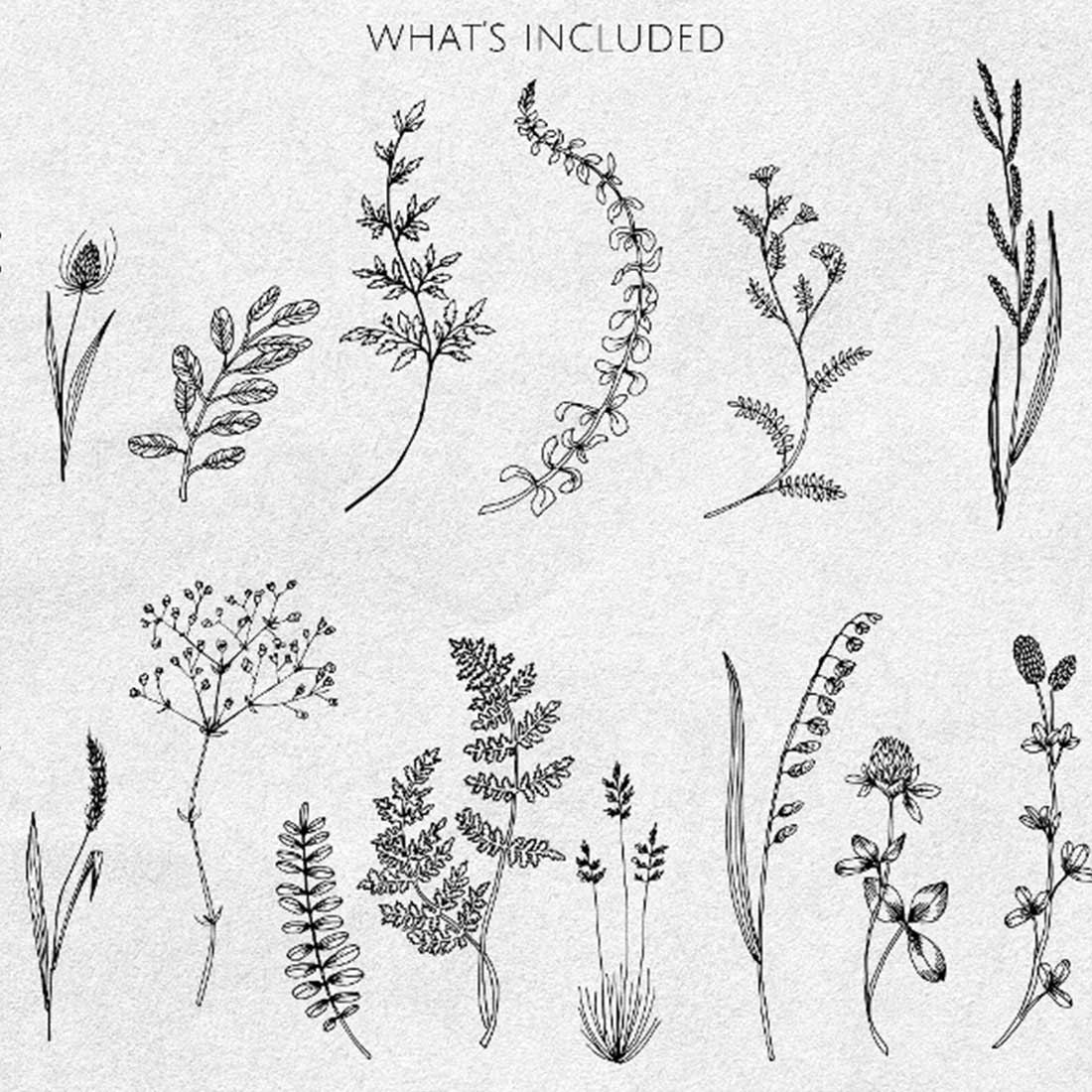 preview 22 Wildflowers & Herbs SVG Line Art.
