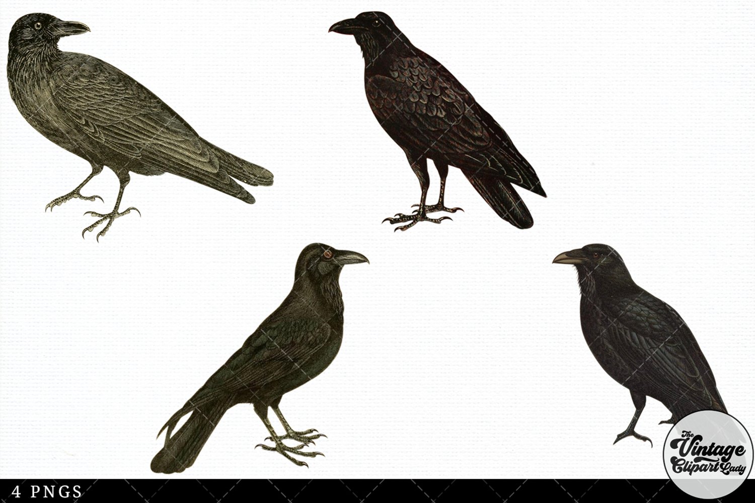 This is an antique raven bird collection.