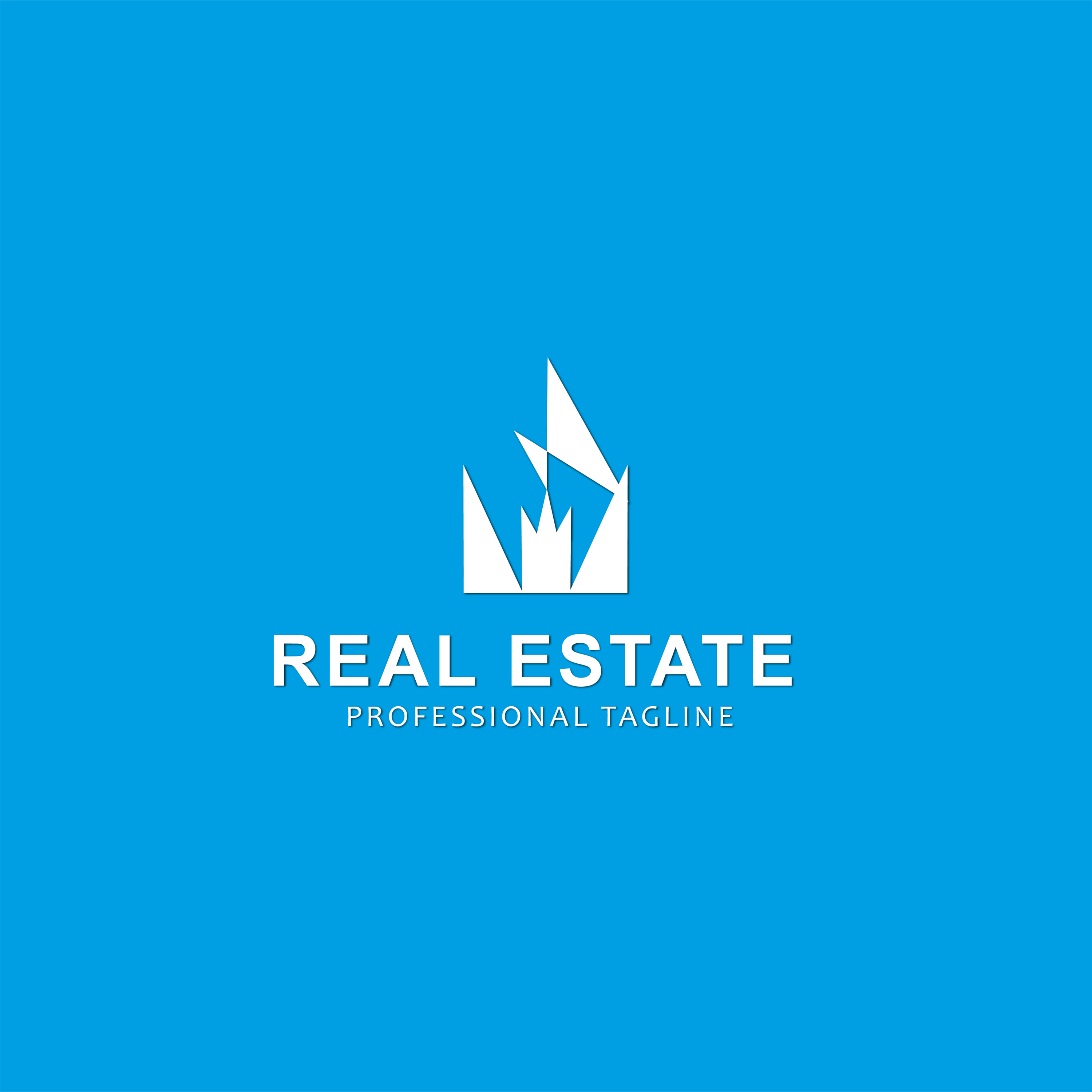 Real Estate Logo Design blue.