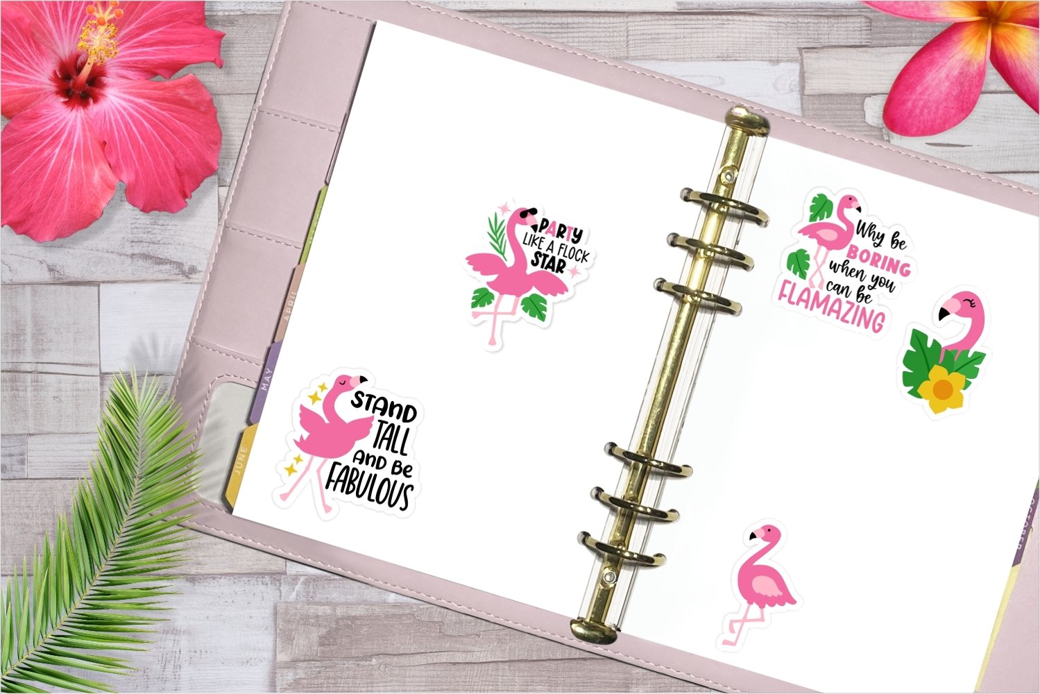 Sassy flamingo sticker bundle - notebook.